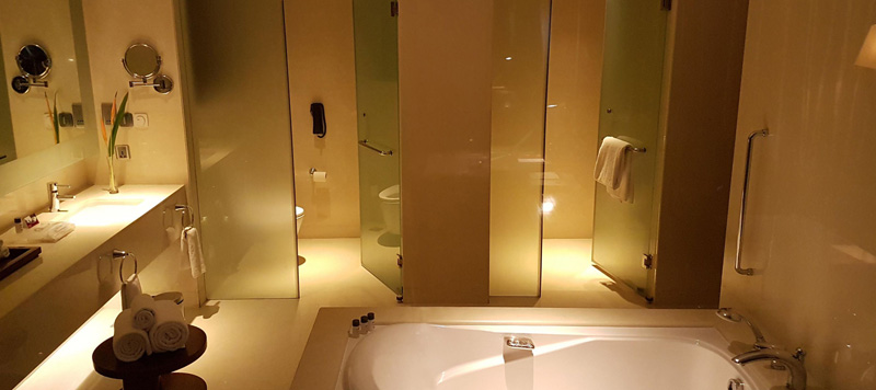 Crownplaza3