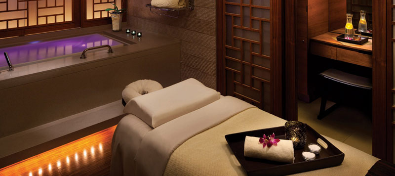 shangrilavanconver3