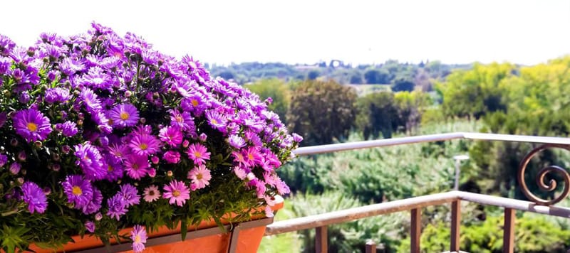 romoli_hotel06
