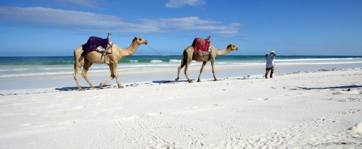 Cheap Flights To Mombasa Brightsun Travel