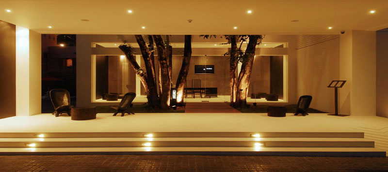 the Library 01