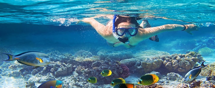 Cheap Flights To Sharm El Sheikh Brightsun Travel