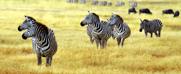 East Africa 