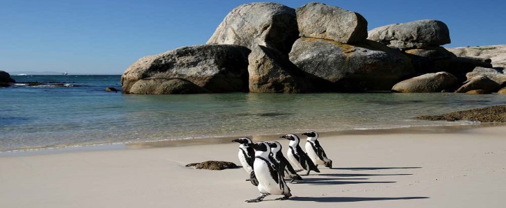 South Africa 
