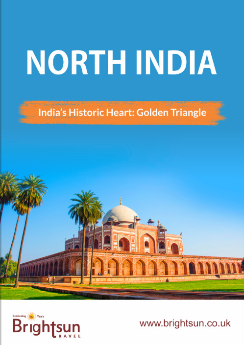 North India Mini Guide
